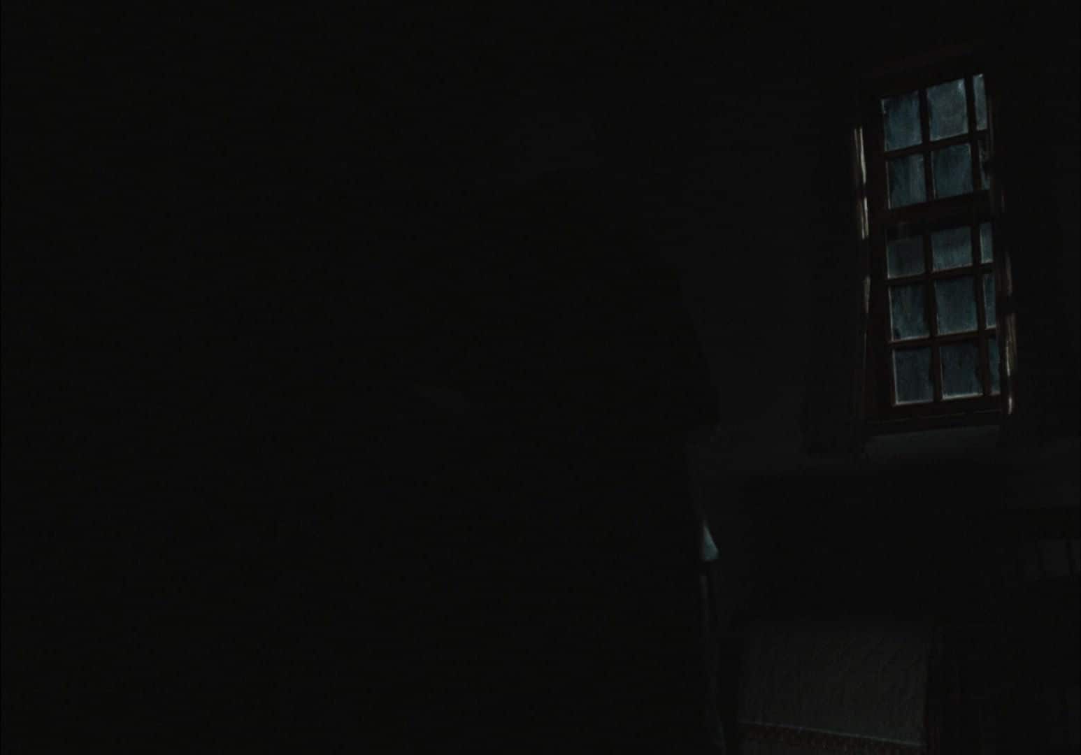 0533.jpg 0533.jpg