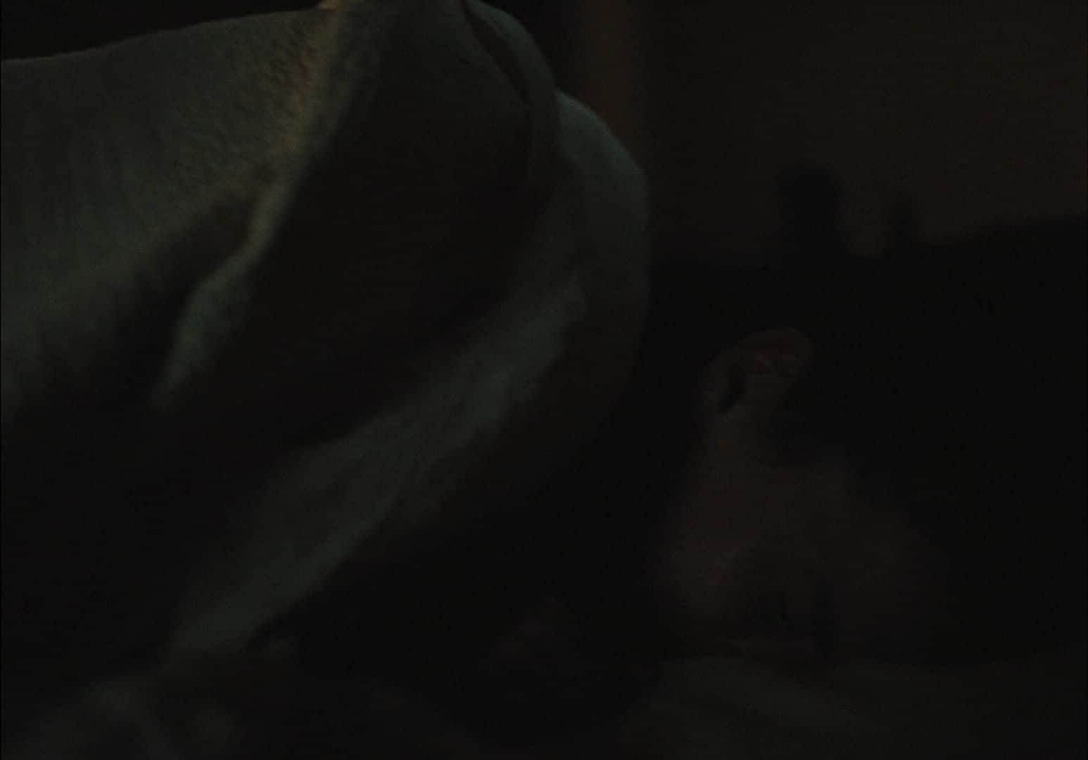 0558.jpg 0558.jpg