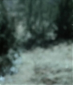 Filename=0171.jpg
Filesize=56KiB
Dimensions=1920x800
Date added=Mar 01, 2025 0171.jpg
