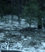 Filename=0760.jpg
Filesize=66KiB
Dimensions=1920x800
Date added=Mar 01, 2025 0760.jpg
