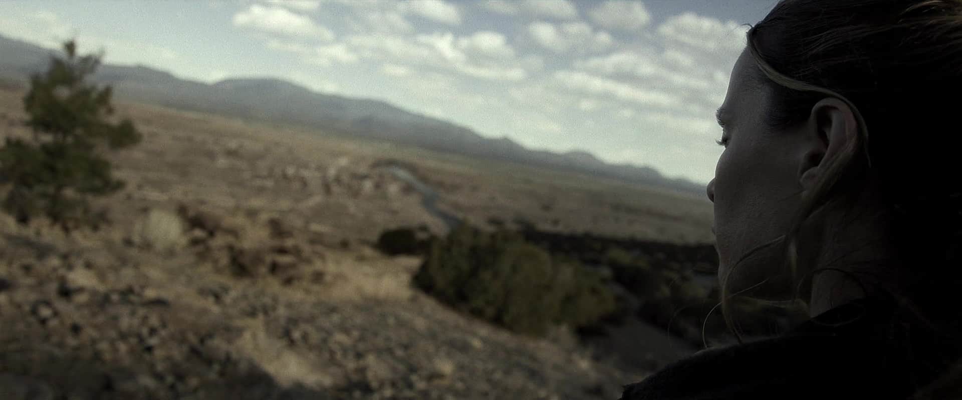 0795.jpg 0795.jpg
