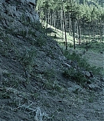 0504.jpg