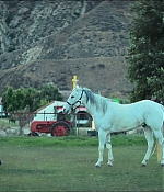 0590.jpg