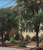 1087.jpg