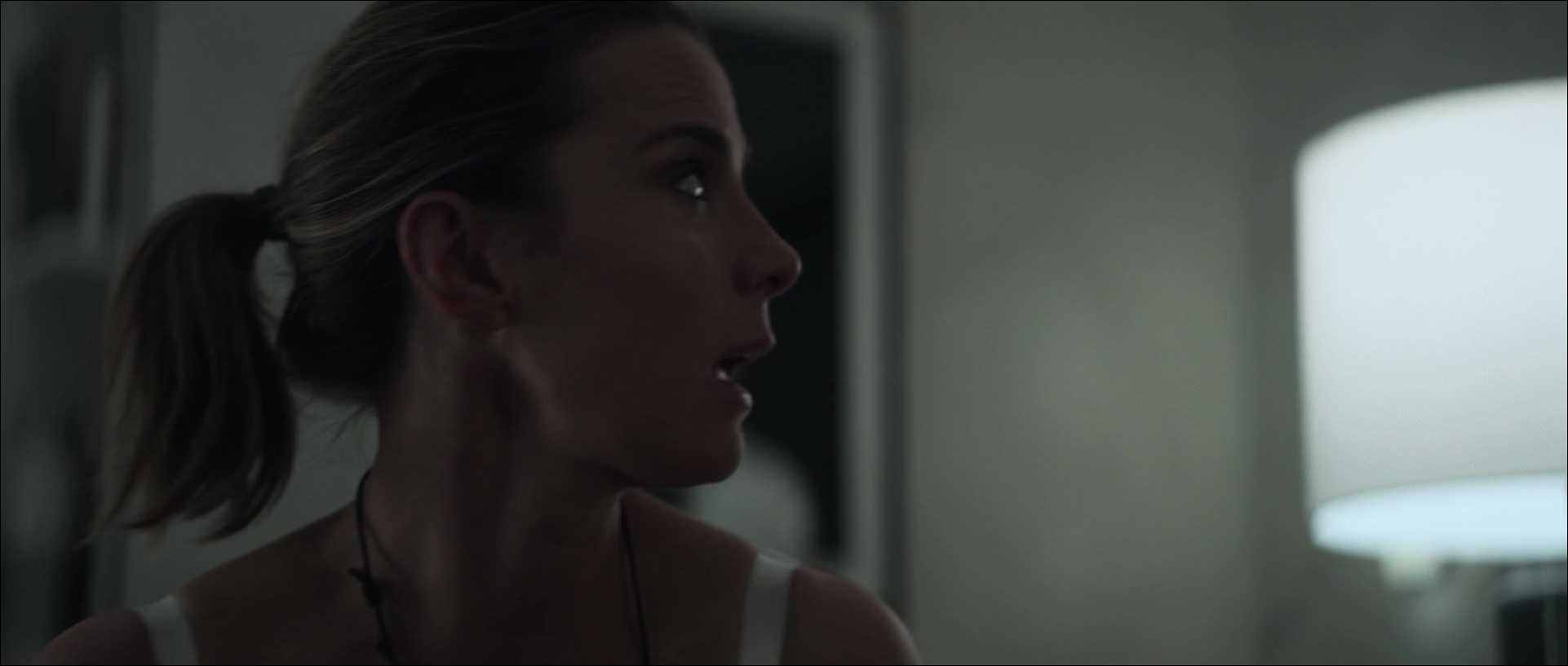 1229.jpg 1229.jpg