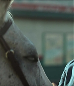 0936.jpg