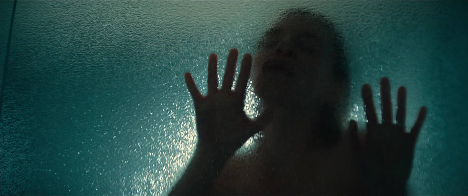 0115.jpg 0115.jpg