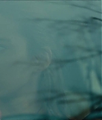 0006.jpg